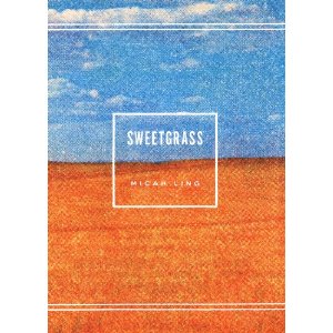Micah's book Sweetgrass, which I knew I would buy the second I saw the cover