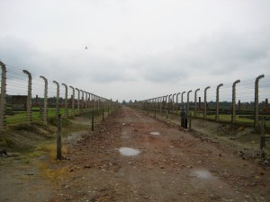 The path taken by people who were sent straight from the trains to the gas chambers
