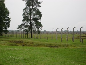 A pit where people's ashes were dumped